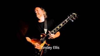 Tinsley Ellis  Hard Work  HD [upl. by Juetta901]