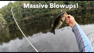 Bass Fishing the Adirondacks with Topwater [upl. by Ylil486]