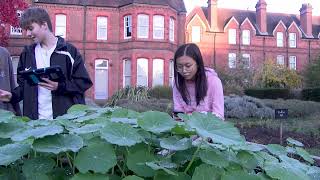 The history of horticulture revealed by nurseries seed catalogues  Digital Dig  The RHS [upl. by Gare]