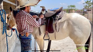 Cómo arrendar un caballo Parte 1 parientesdelrancho RanchoJR [upl. by Nordgren]