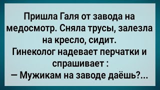 Как Галя На Заводе Медосмотр Проходила Сборник Свежих Анекдотов Юмор [upl. by Oahc]