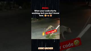 Funny programming meme  funny coder meme  funny coding meme shorts [upl. by Franky]