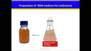 NNN medium for Leishmania Culture [upl. by Sayer]