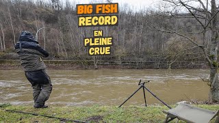 Capture phénoménale dans un amorti de la rivière en crue [upl. by Akcemat]