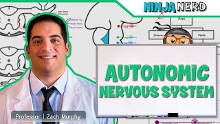 Neurology  Autonomic Nervous System [upl. by Axia]