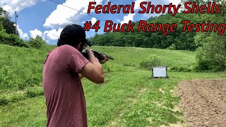 Federal 12 Gauge Mini Shells 4 Buck Range Testing Part 1 [upl. by Amice249]