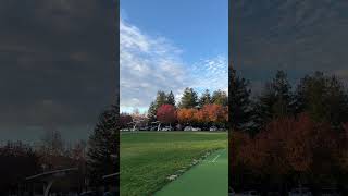 Cricket Ground at Public Library at Cupertino [upl. by Treharne]