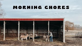 Morning Chores [upl. by Atikat]