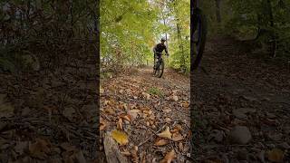 Gdynia MTB  Długa góra  zjazd 20102024 mtbtrails autumncolors [upl. by Delastre]