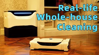 Reallife Wholehouse Cleaning [upl. by Notnil]