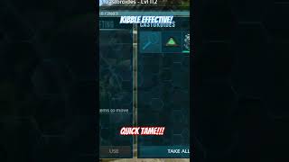 KIBBLE EFFECTIVE Ark Mobile gameplay CASTOROIDES Quick tame gaming arkmobile [upl. by Maida]