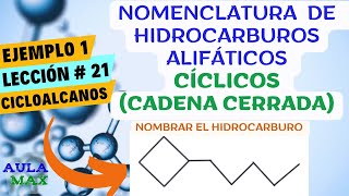 Nomenclatura de Hidrocarburos Cíclicos Cicloalcanos  Ejemplo 1  Lección 21  Química Orgánica [upl. by Ahsoik]