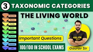 Taxonomy Categories Class 11 Biology  Most Important Questions  THE LIVING WORLD  KELVIN NEET [upl. by Sofie]