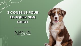 3 CONSEILS pour éduquer votre CHIOT [upl. by Adnolay]