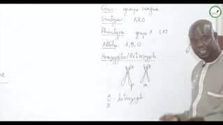 Cours  Terminale  SVT  Génétique  Protocole expérimental [upl. by Fatimah293]