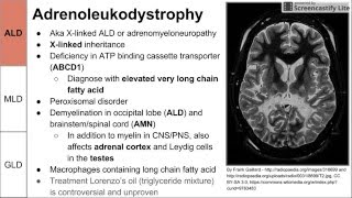 Leukodystrophies ALD MLD and GLD [upl. by Alorac]