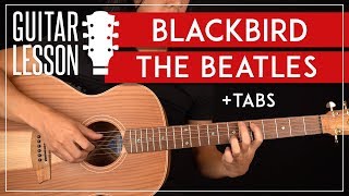 Blackbird Guitar Lesson 🎸 The Beatles Tutorial Fingerpicking  TAB [upl. by Gignac]