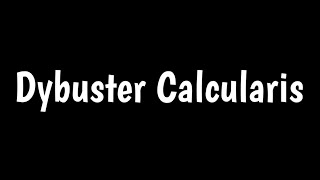 Dybuster Calcularis [upl. by Habas]