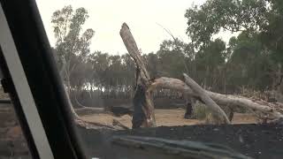 Bushfire aftermath attempting to reactivate burnt TV sets [upl. by Otiv369]