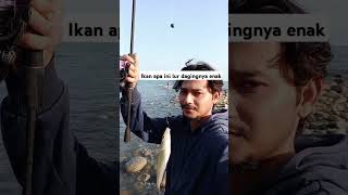 Mancing di laut dapet ikan ini lur shorts fishing laut ikan jangan lupa subscribe [upl. by Chaves628]