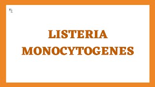 Listeria monocytogenes  Listeriosis Morphology Pathogenesis Clinical Findings Treatment [upl. by Cort943]