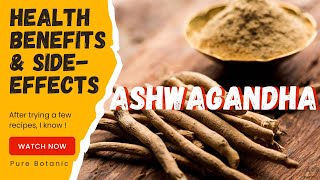 Ashwagandha Explained Does This Ancient Herb Really Work [upl. by Esilegna113]