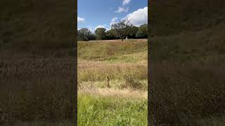 Vicksburg National Military Park  Hovey’s Approach Stop 15 [upl. by Carlton]