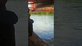 Totolan Bridge Dauis Bohol Underbridge shortsvideo [upl. by Ruon503]