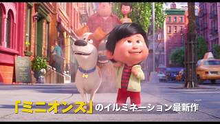 映画『ペット２』7月26日金 公開 [upl. by Nilla]