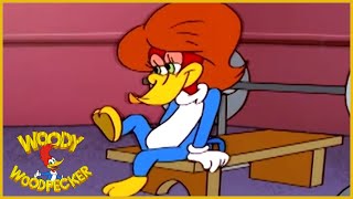 Woody Woodpecker  Blacksheep  Woody Woodpecker Full Episode  Kids Cartoon  Videos for Kids [upl. by Noteloc]