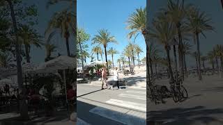 Arenal Mallorca travel viral trending youtube [upl. by Ennovyhs]