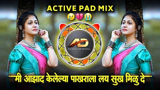 मी आझाद केलेल्या पाखराला लय सुख मिळू दे  Mi Azad Kelyala Pakhara Lay Kukh Milu De  Dj Dipak AD [upl. by Notterb]