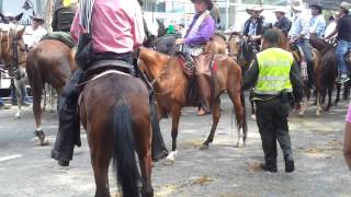 Cabalgata feria cali 2013 [upl. by Kirkwood]