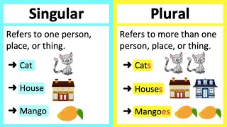 SINGULAR VS PLURAL NOUNS 🤔  Whats the difference Learn with examples [upl. by Ybocaj]