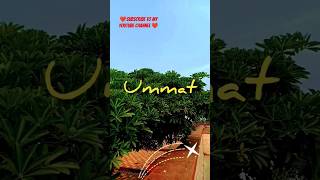 💓☪️UMMAT☪️💓 subscribe namaz ummah ummaterasulallahﷺ islam muslim india world quran islamic [upl. by Ahseret669]