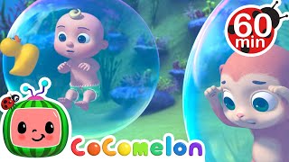 Summer Adventures  JJ Goes SWIMMING  Animals for Kids  Animal Cartoons  Funny Cartoons [upl. by Eener26]