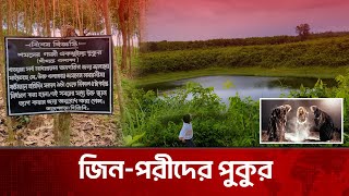 দিনদুপুরে জিনের প্রমাণ আছে যে পুকুরে  Feni Chhagalnaiya  The News [upl. by Marquita]