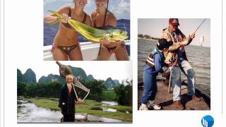 Plan Do Check Act Fishingwmv [upl. by Paten]