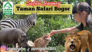 Taman Safari Bogor  Taman Safari Bogor Terbaru [upl. by Elleinnod]