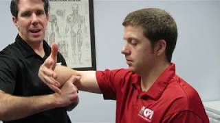 Hook Test For Distal Biceps Rupture [upl. by Lawson766]