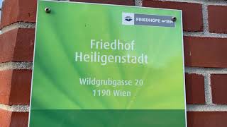 Friedhof Heiligenstadt zu Allerheiligen 2024 [upl. by Nirre]