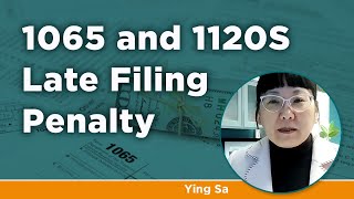 1065 and 1120S Late Filing Penalty [upl. by Freyah551]