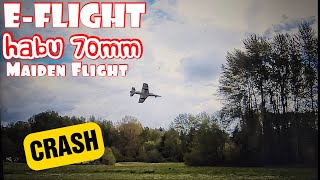 E Flite Habu sts 70mm Maiden flight and crash [upl. by Havens]