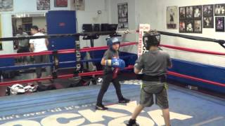 9year old Boxing gladiators GO TO WAR in sparring at Johnny Toccos Boxing Gym [upl. by Haneehs83]