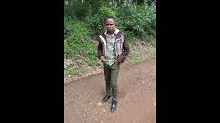 ISIMBA JAZZ  KIOMONGU SUBUI Official Music Audio [upl. by Graaf]