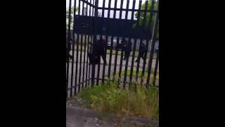 Irish Travellers vs Bailiffs riot [upl. by Kramnhoj673]