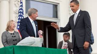 President Obama Pardons White House Turkey [upl. by Garber]