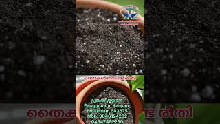 Planting methodmango plant agriculture mango plants methodplanttrees [upl. by Toscano]