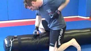 Ground and Pound MMA Interval Training Workout  8 minutes [upl. by Ress]