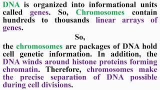 Chromosomes and DNA [upl. by Hollyanne]